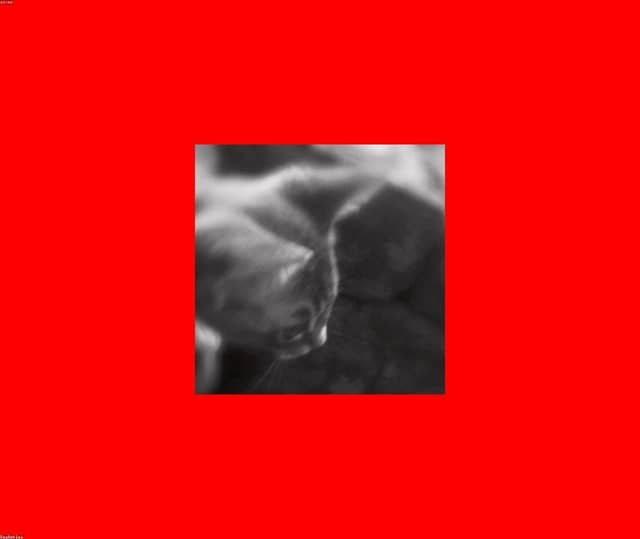 BNScn5r2sF